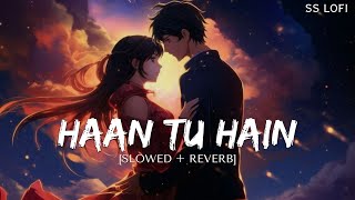 Haan Tu Hain Slowed  Reverb  JannatEmraan Hashmi Sonal ChauhanKKPritam SS Lofi [upl. by Hoopen]