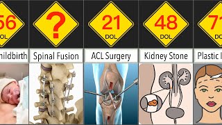 Most Painful Surgeries  Pain Comparison  DataRush 24 [upl. by Gert72]