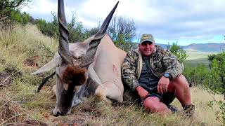 Huge Cape Eland Bull [upl. by Martin477]