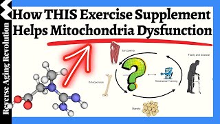 How THIS Exercise Supplement Enhances Your Mitochondrial Function [upl. by Aerda]