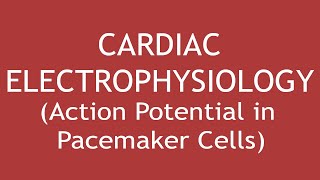 Cardiac Electrophysiology Action Potential in Pacemaker Cells ENGLISH  Dr Shikha Parmar [upl. by Gamin641]