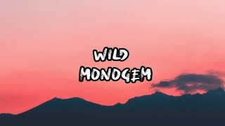 Wild  Monogem（lyrics） [upl. by Faustena]