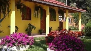 IDÉIAS PARA UM BELO JARDIM EM CHÁCARAS E SÍTIOS [upl. by Asined]