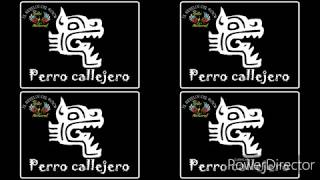 🎸PERRO CALLEJERO🎸》ÉXITOS REMIX《Rock UrbanoEl rebelbe del RockROLITAS ROCKANROLL [upl. by Retxed]