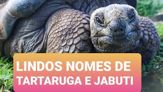 Nomes Unissex para tartaruga e Jabuti [upl. by Shaw]