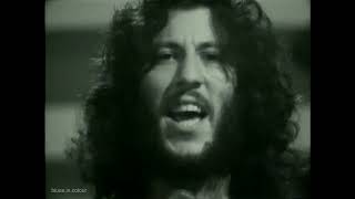 Peter Greens Fleetwood Mac Live 196870 [upl. by Aikaz]