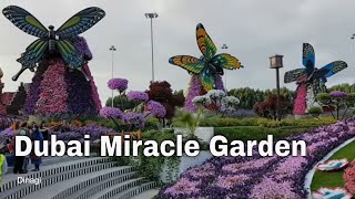 Miracle Garden Dubai 🌼🌺 Ginas World Record 📽️ 01 [upl. by Eduino338]