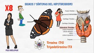 ENFERMEDAD DE TIROIDES  SIGNOS Y SÍNTOMAS QUE PODRÍAN INDICARTE QUE TIENES HIPOTIROIDISMO [upl. by Vyner]