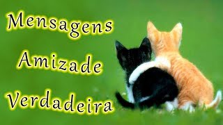 Frases Amizade Verdadeira [upl. by Oram677]