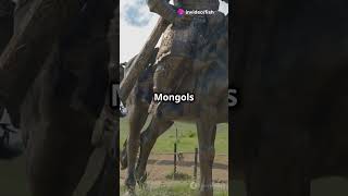 The Mongolian empire explained in 45 seconds [upl. by Ardnuat]