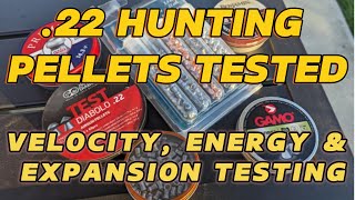 Best 22 Hunting Pellets of 2024  The Ultimate Hunting Pellet Test Velocity Energy amp Expansion [upl. by Barby]