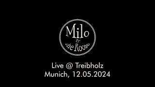 Milo amp The Roose Live  Treibholz Munich [upl. by Gualtiero]