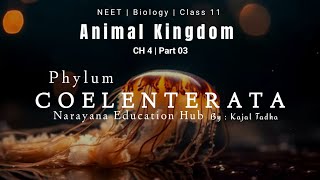 Phylum Coelenterata  Cnidaria  Animal Kingdom Biology CH4  Classification Animated Video 3D L3 [upl. by Wallraff]