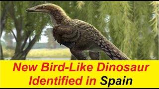 New BirdLike Dinosaur Identified in Spain [upl. by Sunderland]