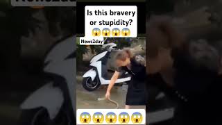 Is this bravery or stupidityfunny video [upl. by Fons492]