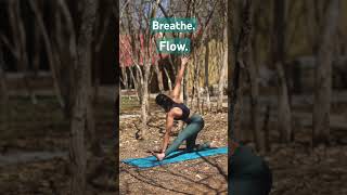 Breathe Flow Let Go 🪷 yoga asana fitness workout flow peace yogaflow beginnersyoga yogi [upl. by Margarita]