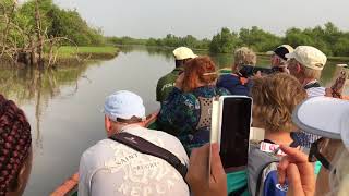 Vogelbeschermingsreis naar Gambia [upl. by Fadas]