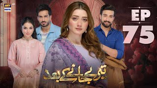 Teray Janay Kay Baad Episode 75  12 November 2024 English Subtitles  ARY Digital Drama [upl. by Vernon704]