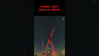 PUMMEL PARTY [upl. by Darice]