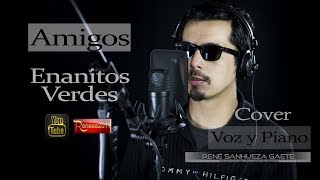 Amigos  Enanitos Verdes  Cover [upl. by Annasus13]