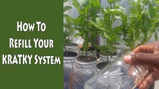 How to Refill Your Kratky [upl. by Coretta]