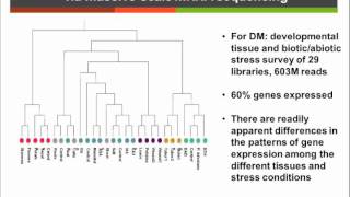 Transcriptome Sequencing and Designing SNP Array [upl. by Marina796]