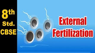 Class 8 External Fertilization  NCERT  Science  CBSE Board  Home Revise [upl. by Hilliary]