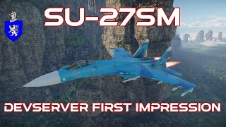 Dev Server First Impression  Su27SM [upl. by Gracia]