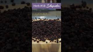 Herb 19 Schisandra 23 Herbs to Try in 2023 [upl. by Beasley]