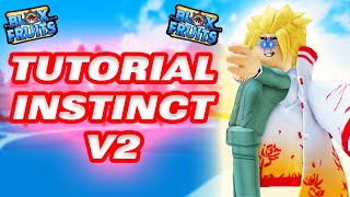 Tutorial Cara Mendapatkan Instinct V2  Roblox Blox Fruits Indonesia [upl. by Nwahsed]