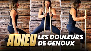 🦵RENFORCEMENT MUSCULAIRE adapté GENOU douloureux avec progressions [upl. by Secundas990]