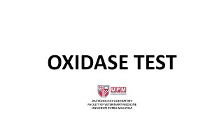 Oxidase Test Procedure [upl. by Ydnamron]