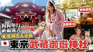 【🐶愛狗必去】東京武藏御嶽神社祈福⛩️！得到犬神庇護❤️！入住五星級寵物酒店🌟！ [upl. by Idnyc]