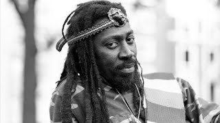 Bunny Wailer History and Legacy [upl. by Vinny]