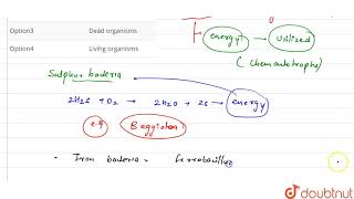 Chemoautotrophs derive their energy from [upl. by Boucher]