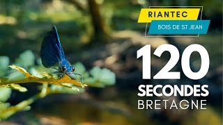 Riantec Morbihan  120 secondes  Drone 4K [upl. by Tay]