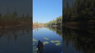 Kayaking Shoepack River [upl. by Namzaj]