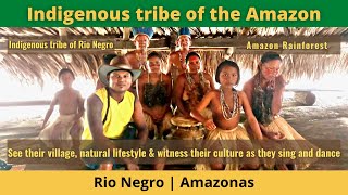 Brazil Travel  Indigenous tribe of the Amazon [upl. by Jamill]