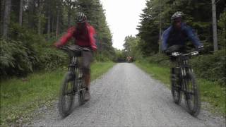 Paramo Mountain Biking at Bedgebury Forest [upl. by Ryder]