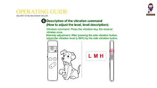 DeluPet DT66 Dog Shock Collar User Manual  Safety Instructions [upl. by Nairim945]