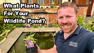 How To Aerate amp Oxygenate Your Pond [upl. by Oiralih]