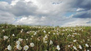 Discover Americas heartland the Great Plains [upl. by Nodearb]