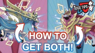 How to Get Shiny Zacian and Zamazenta  Pokemon Sword amp Shield [upl. by Hurd859]