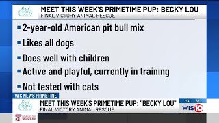 Primetime Pups Becky Lou [upl. by Berey]