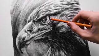 ASMR  Drawing an Eagle with Charcoal  No Talking [upl. by Assirialc]