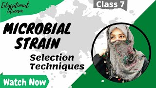 Microbial Strain Selection Techniques  Fermentation Biotechnology  English amp Urdu [upl. by Meridel783]