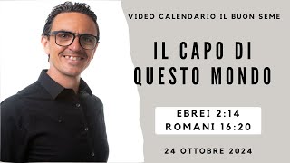 24 OTTOBRE 2024 Calendario cristiano IL BUON SEME [upl. by Hedvige648]