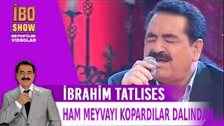 Ham Meyvayı Kopardılar Dalından  İbrahim Tatlıses [upl. by Emrich479]