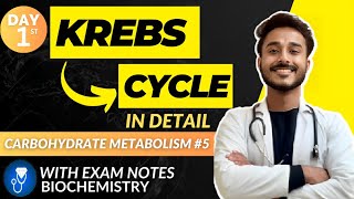 kreb cycle biochemistry  citric acid cycle biochemistry cycle carbohydrate metabolism biochemistry [upl. by Zillah]