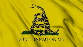 Gadsden flag quotDont Tread On Mequot waving animation [upl. by Akierdna]